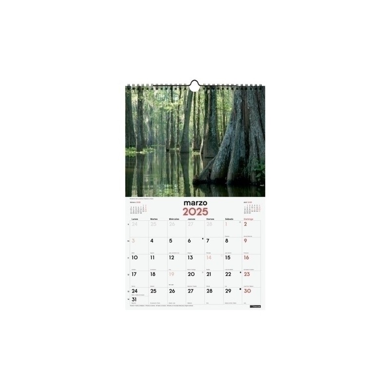 780554825-CAL.FIN. PARED 250x400 NATURALEZA precio por 1 unidades