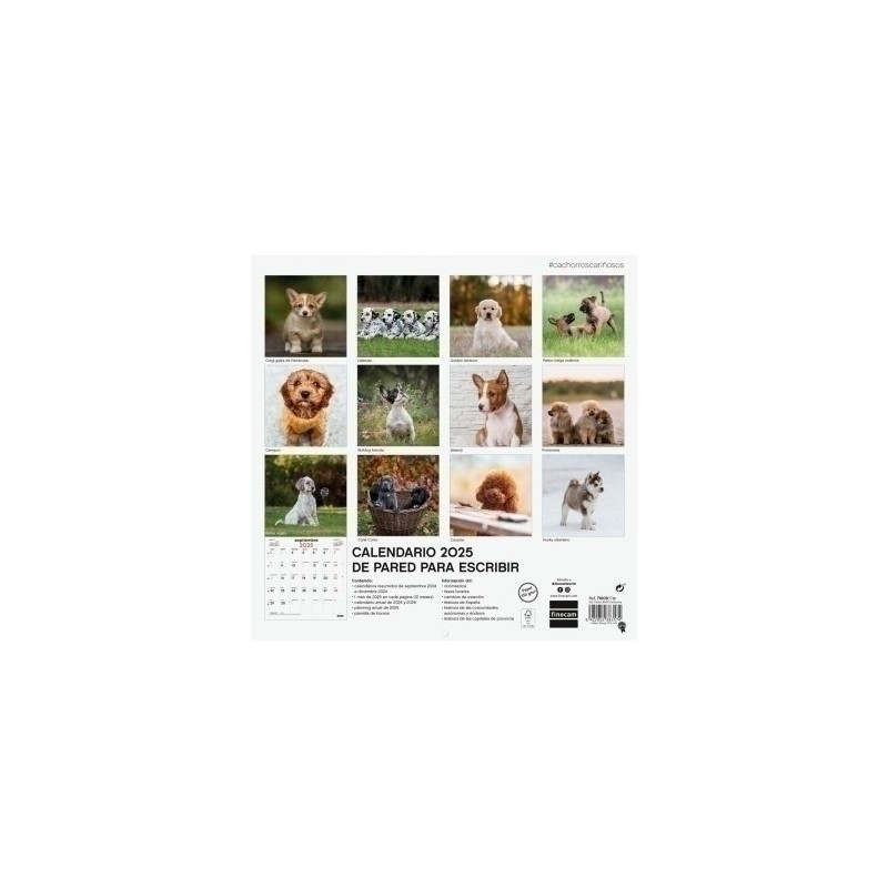 780303725-CAL.FIN. PARED 300x300 CACHORROS precio por 1 unidades