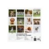 780303725-CAL.FIN. PARED 300x300 CACHORROS precio por 1 unidades