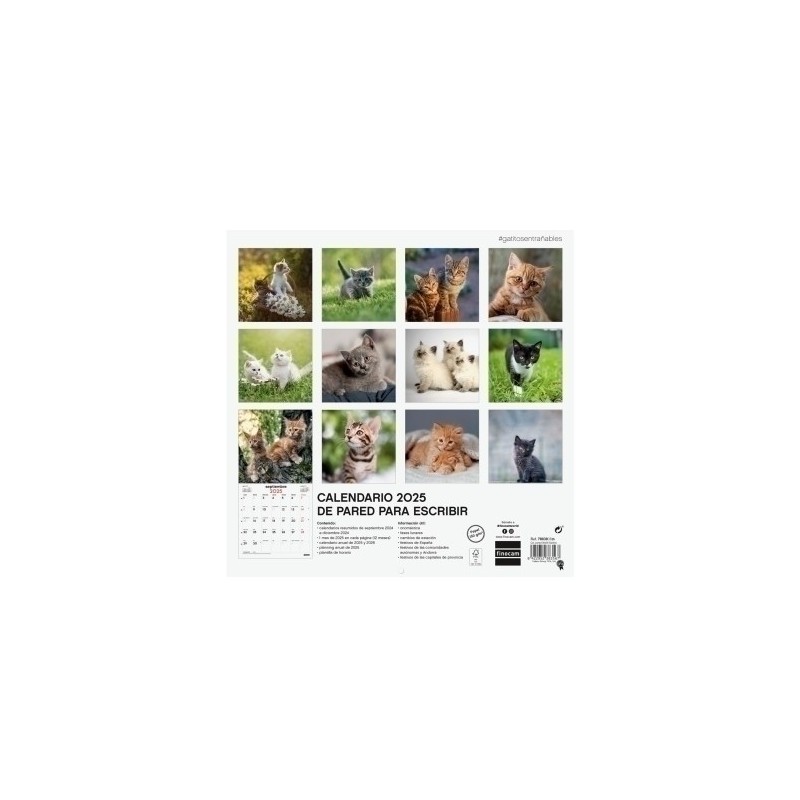 780303825-CAL.FIN. PARED 300x300 GATITOS precio por 1 unidades