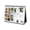 781245425-CAL.FIN. INT. SOBR. 210x150 CATS precio por 1 unidades