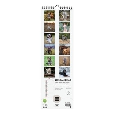 781255225-CAL.FIN. INT. PARED 155x480 DOGS precio por 1 unidades