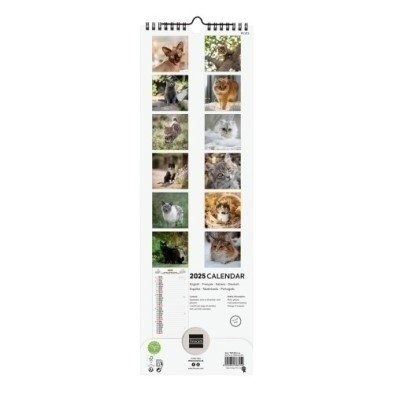 781255425-CAL.FIN. INT. PARED 155x480 CATS precio por 1 unidades