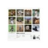 781235225-CAL.FIN. INT. PARED 180x180 DOGS precio por 1 unidades