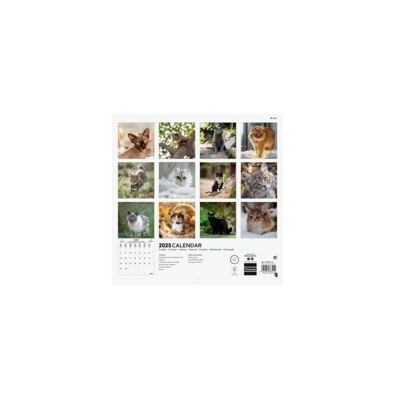 781235425-CAL.FIN. INT. PARED 180x180 CATS precio por 1 unidades