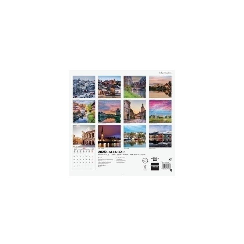 781224925-CAL.FIN. INT. PARED 300x300 CHARMING precio por 1 unidades