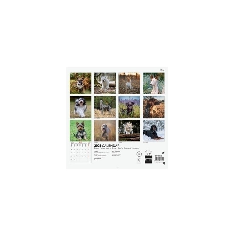 781225225-CAL.FIN. INT. PARED 300x300 DOGS precio por 1 unidades