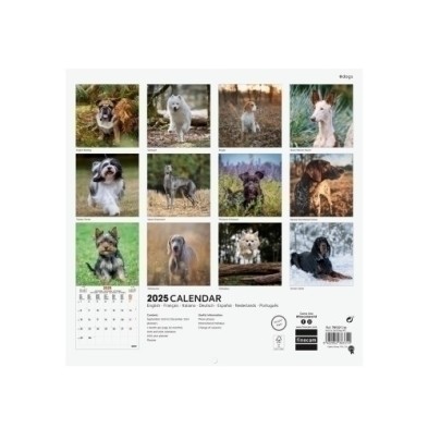 781225225-CAL.FIN. INT. PARED 300x300 DOGS precio por 1 unidades