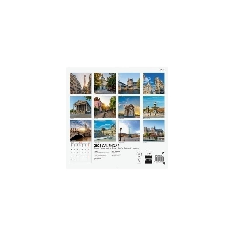 781225525-CAL.FIN. INT. PARED 300x300 PARIS precio por 1 unidades