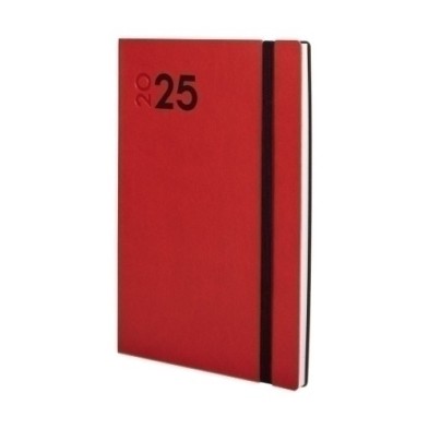 621123025-AG.F. DYNAMIC MARA Y10 S/V ROJO precio por 1 unidades