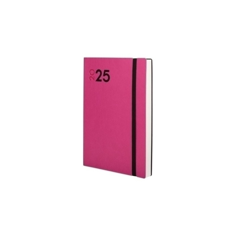 621164525-AG.F. DYNAMIC MARA Y10 D/P FUCSIA precio por 1 unidades