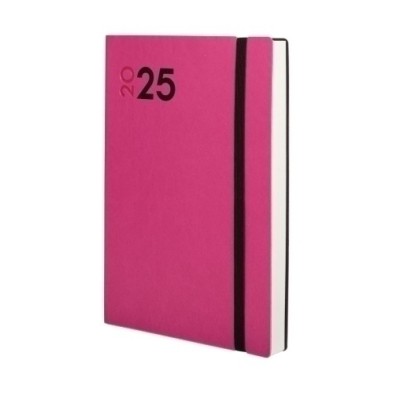 621164525-AG.F. DYNAMIC MARA Y10 D/P FUCSIA precio por 1 unidades