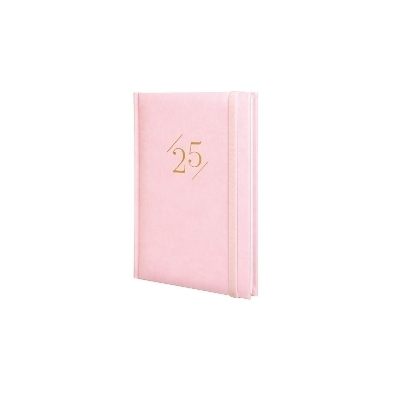 625300325-AG.F. DYNAMIC LONDON Y10 S/V ROSA precio por 1 unidades