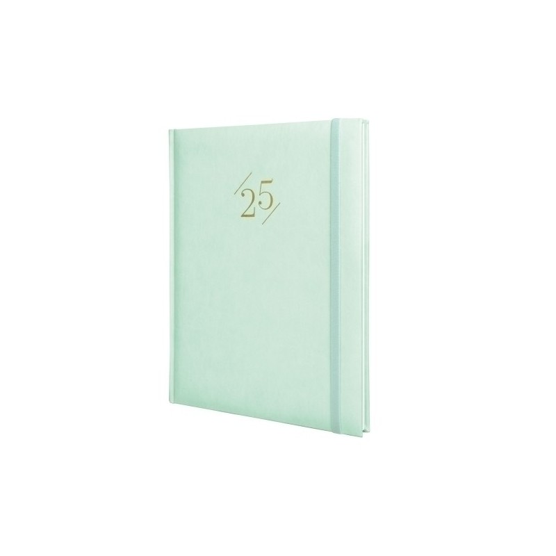 625340425-AG.F. DYNAMIC LONDON Y12 S/V MENTA precio por 1 unidades
