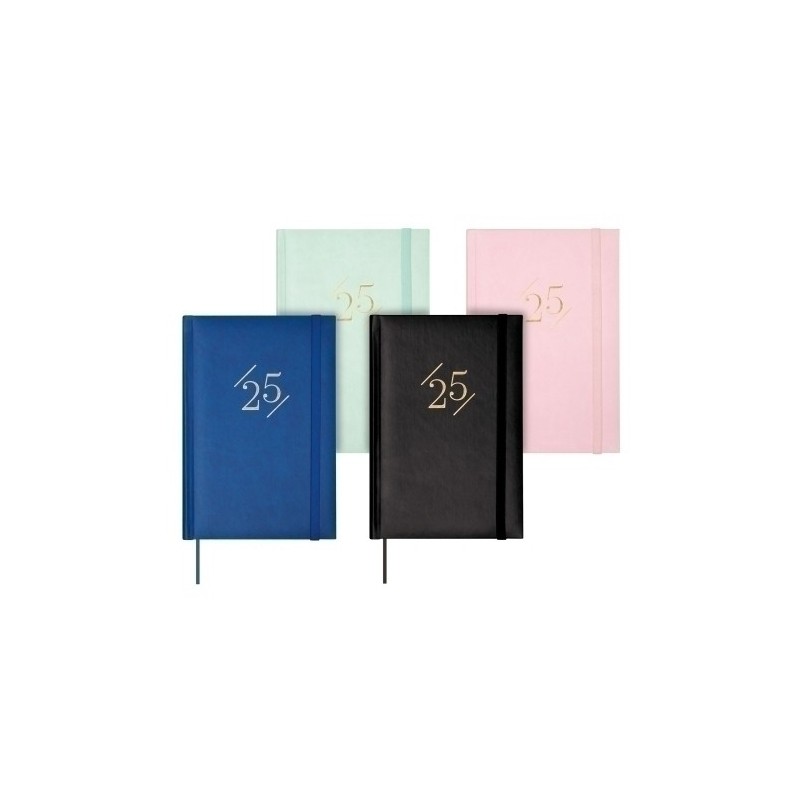 625630125-AG.F. DYNAMIC LONDON Y10 S/V PACK 5 precio por 1 unidades