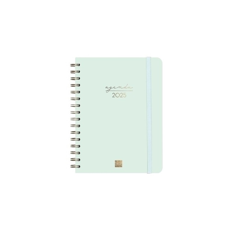 762020325-AG.F. ESPIRAL ALMA E10 S/V MENTA precio por 1 unidades