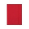 381243025-AG.F. DUO DUOBAND E5 D/P ROJO precio por 1 unidades