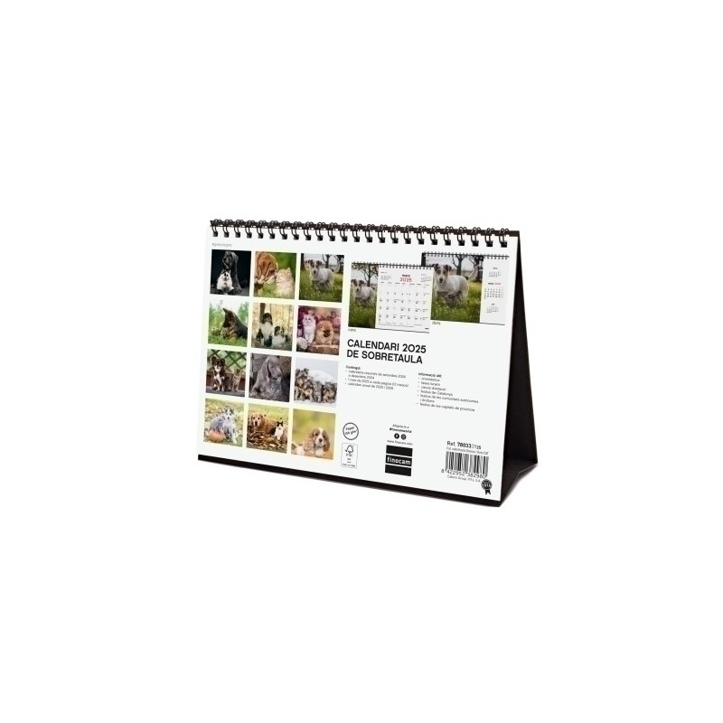 780333925-CAL.FIN.CAT. SOBR. 210x150 GOSSOS I GATS precio por 1 unidades