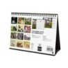 780333925-CAL.FIN.CAT. SOBR. 210x150 GOSSOS I GATS precio por 1 unidades