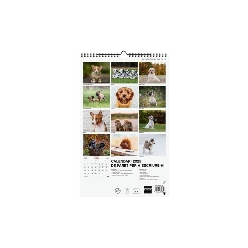 780563725-CAL.FIN.CAT. PARET 250x400 CADELLS precio por 1 unidades
