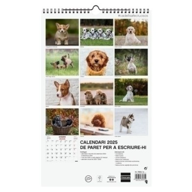 780563725-CAL.FIN.CAT. PARET 250x400 CADELLS precio por 1 unidades