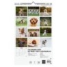 780563725-CAL.FIN.CAT. PARET 250x400 CADELLS precio por 1 unidades