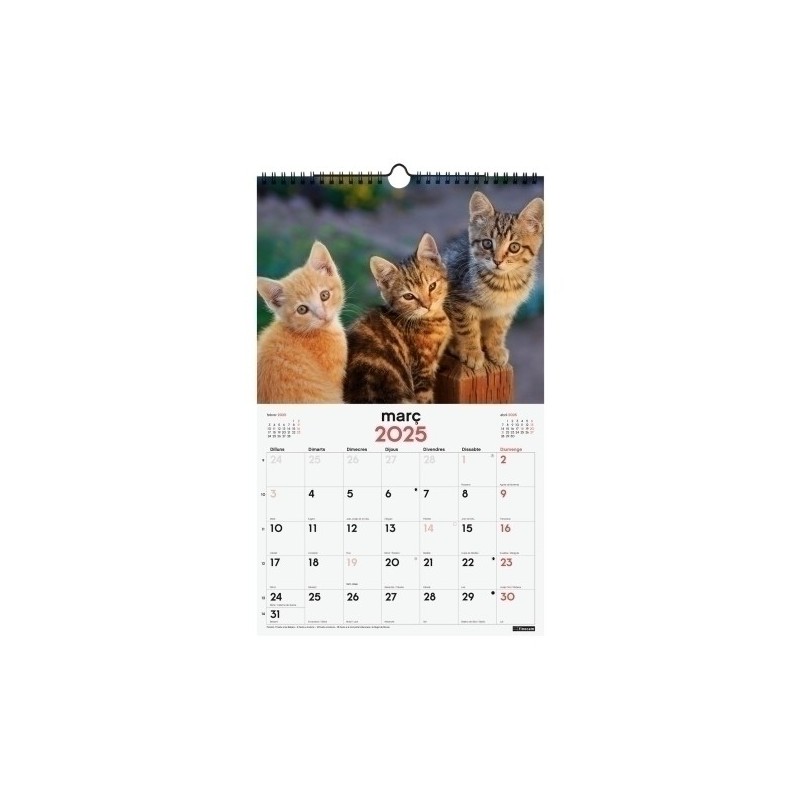 780563825-CAL.FIN.CAT. PARET 250x400 GATETS precio por 1 unidades