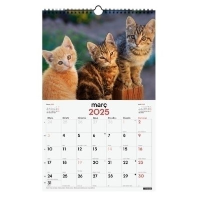 780563825-CAL.FIN.CAT. PARET 250x400 GATETS precio por 1 unidades