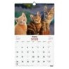 780563825-CAL.FIN.CAT. PARET 250x400 GATETS precio por 1 unidades