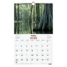 780564825-CAL.FIN.CAT. PARET 250x400 NATURALESA precio por 1 unidades