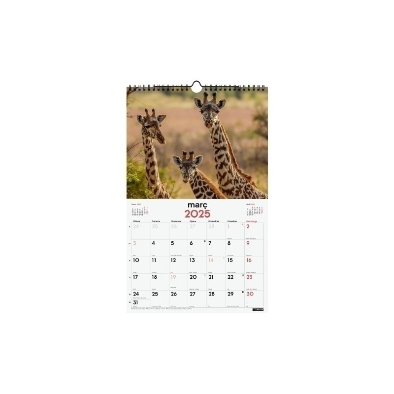 780565025-CAL.FIN.CAT. PARET 250x400 FAUNA SALVATG precio por 1 unidades