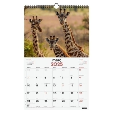 780565025-CAL.FIN.CAT. PARET 250x400 FAUNA SALVATG precio por 1 unidades