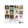 780313725-CAL.FIN.CAT. PARET 300x300 CADELLS precio por 1 unidades