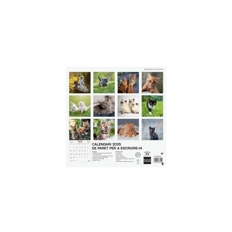 780313825-CAL.FIN.CAT. PARET 300x300 GATETS precio por 1 unidades