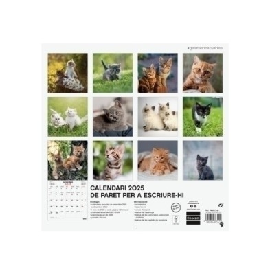 780313825-CAL.FIN.CAT. PARET 300x300 GATETS precio por 1 unidades