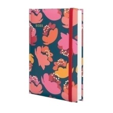 624031925-AG.F.CAT. DYNAMIC...