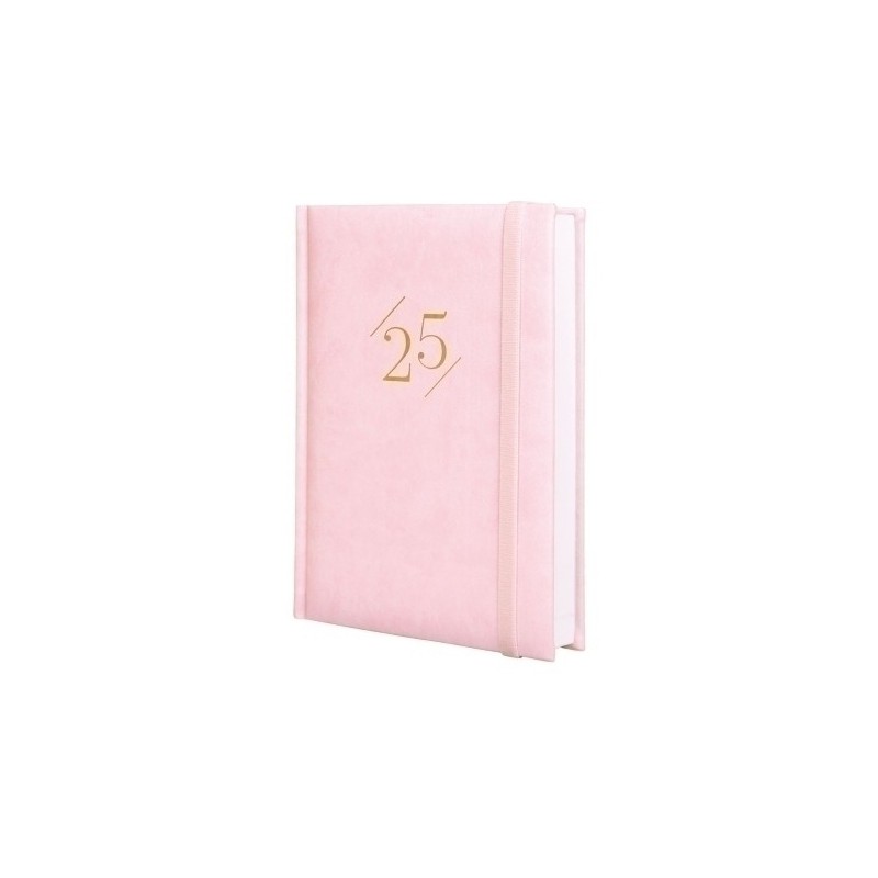 625330325-AG.F.CAT. DYNAMIC LONDON Y10 D/P ROSA precio por 1 unidades