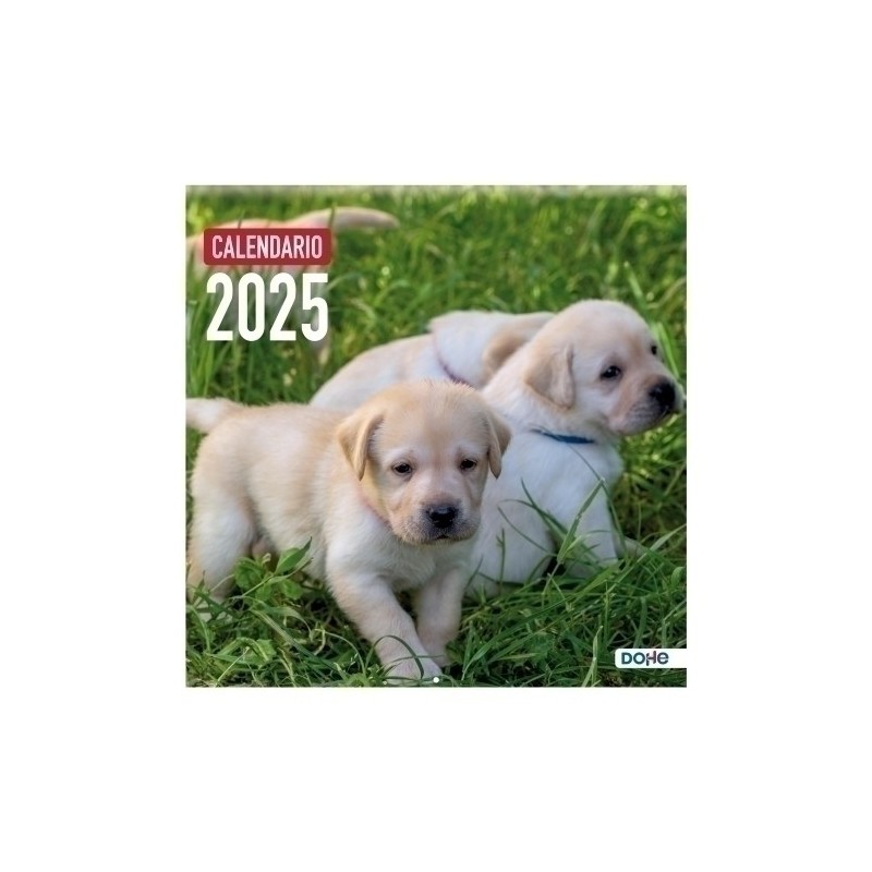 11653-25-CAL.DOHE PARED MES 30x30 PERROS precio por 1 unidades