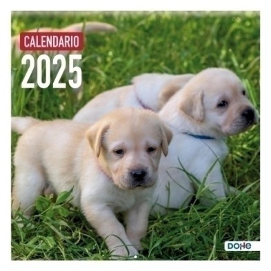 11653-25-CAL.DOHE PARED MES 30x30 PERROS precio por 1 unidades