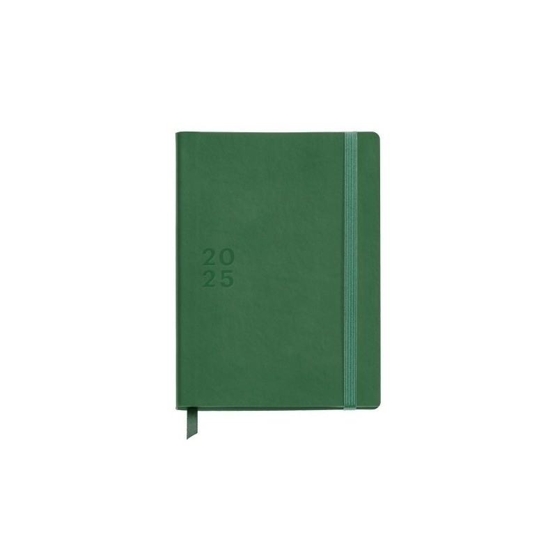 MR34268-AG.MR. TRENDS BASICS PLUS D/P VERDE precio por 1 unidades