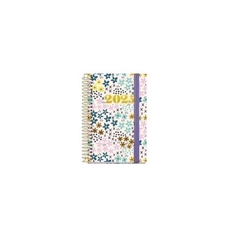 MR39141-AG.MR. NATURA CADDY D/P SPRING precio por 1 unidades
