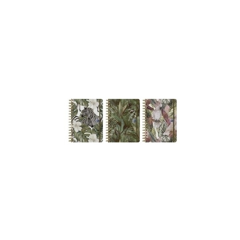 400190009-AG.OXF. WILD t.EXTRA A5 D/P SURTIDO precio por 1 unidades