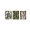 400190009-AG.OXF. WILD t.EXTRA A5 D/P SURTIDO precio por 1 unidades