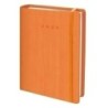 0D336Y364-AG.ED. VIVIONE t.DURA 166x240 D/P NARANJ precio por 1 unidades