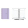 55132254-AG.SENF. PASTEL 160x235 D/P LILA precio por 1 unidades