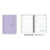 55134254-AG.SENF. PASTEL 160x235 S/V LILA precio por 1 unidades