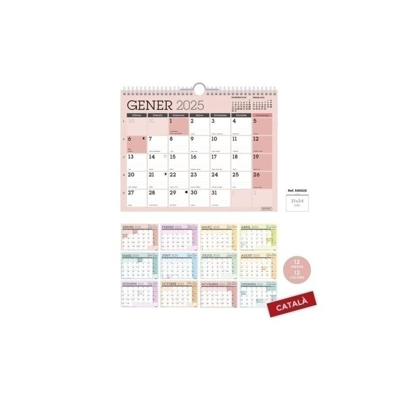 500025-C-CAL.SENF.CAT. PARET MES CLASSIC 310x240 precio por 1 unidades