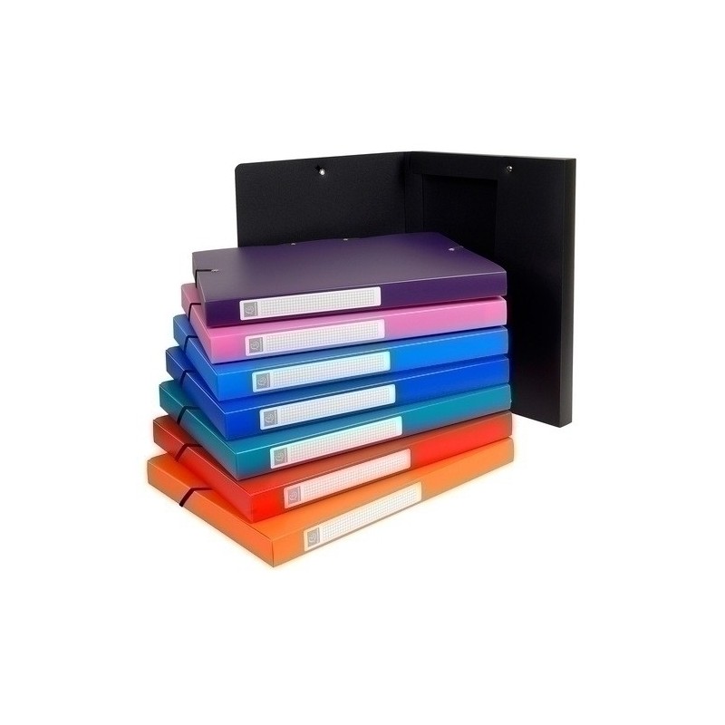 5960E-CARP.PROY.EXACOMPTA PP A4 2.5 cm SURT. precio por 1 unidades