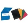 312 VERDE-CARPETA GOMAS SARO CART. GOF.10 Fº VERDE precio por 10 unidades