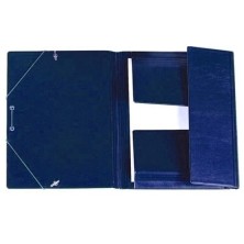 341CS-01-CARPETA...